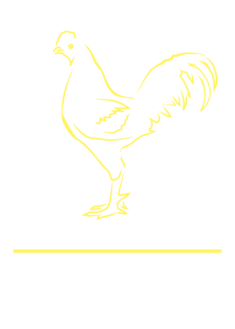 St-Davids-Poultry-Logo-WHITE-1